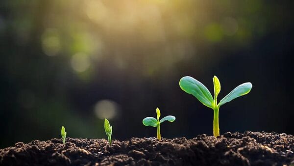 Как открыть брокерский счет в Грузии и какой доход принесут облигации